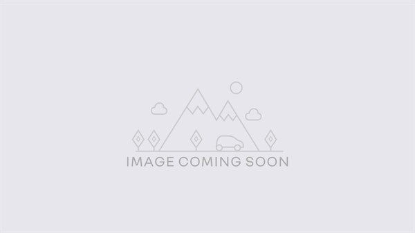 cable handle - Renault 5 E-Tech electric